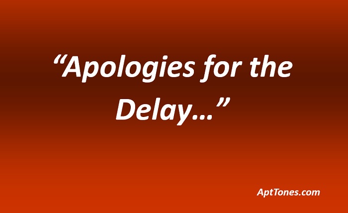 what to say instead of apologies for the delay