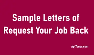 20 Sample Letters To Request Your Job Back - Apt Tones