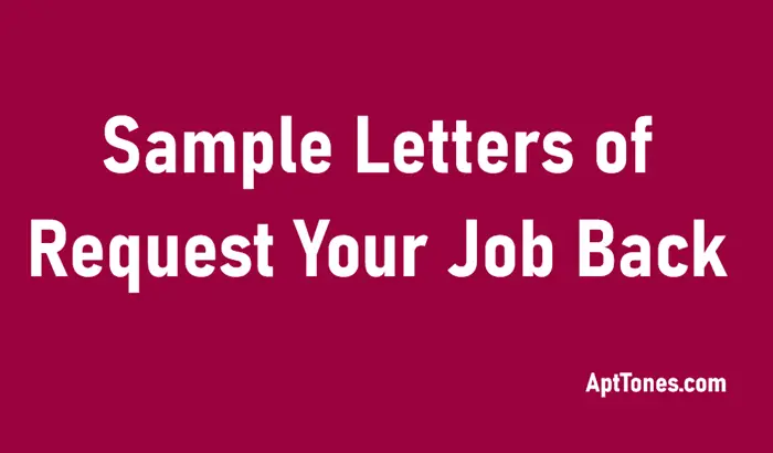 sample letters to request your job back