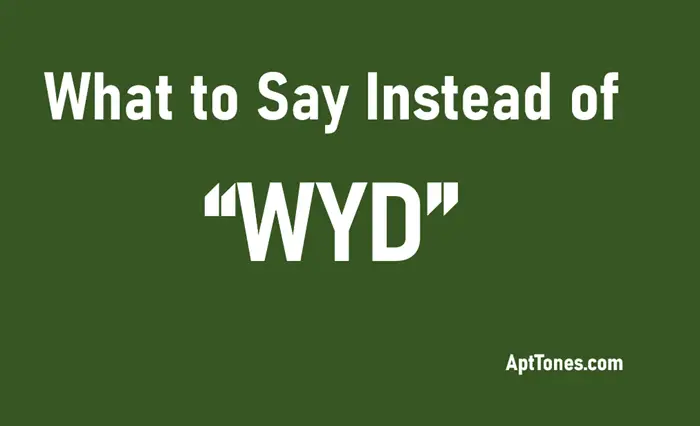 what to say instead of wyd