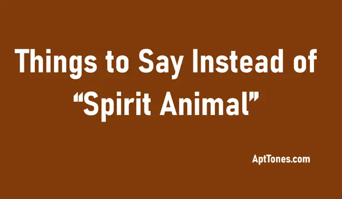 things to say instead of spirit animal