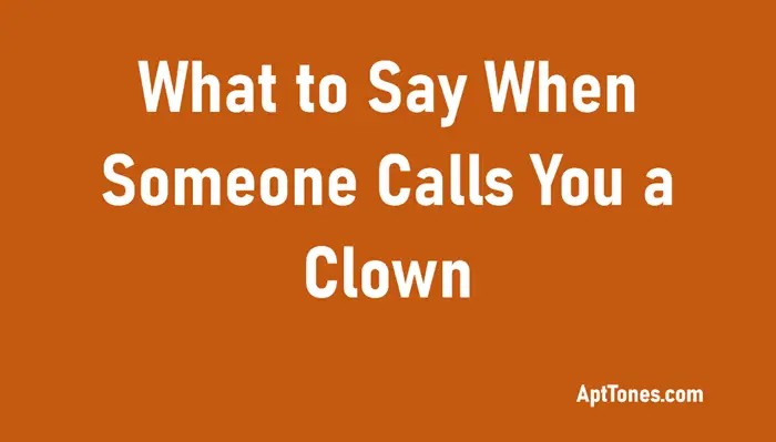 what to say when someone calls you a clown