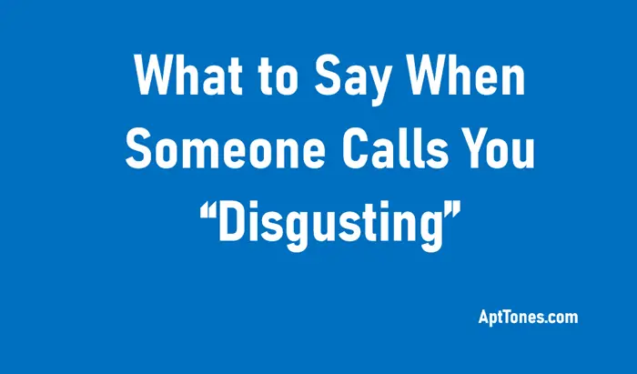 what to say when someone calls you disgusting