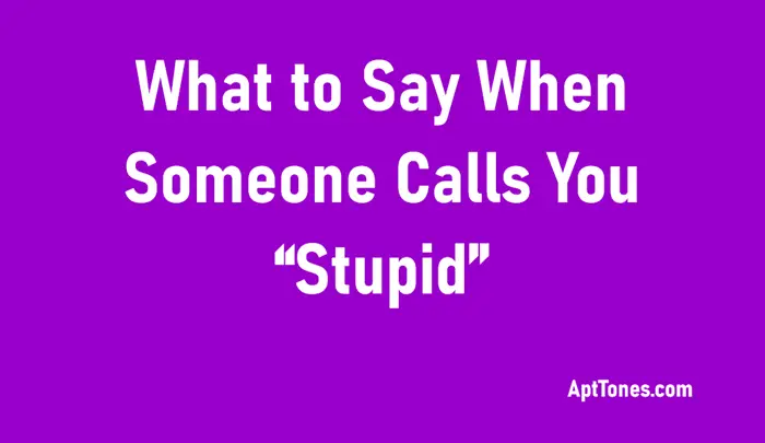To Say When Someone Calls You Stupid