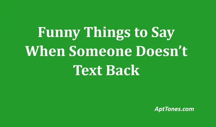 funny things to say when someone doesnt text back