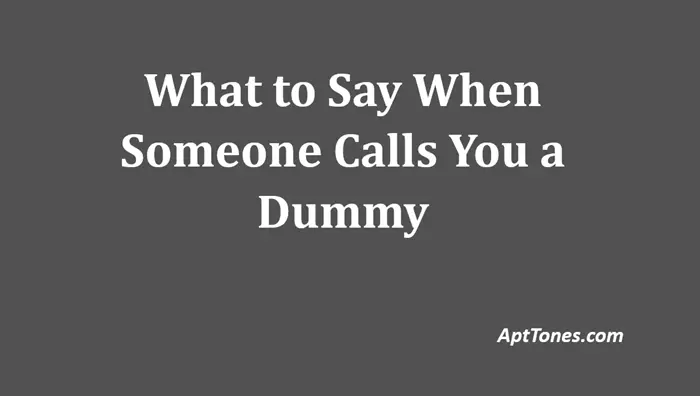 what to say when someone calls you a dummy