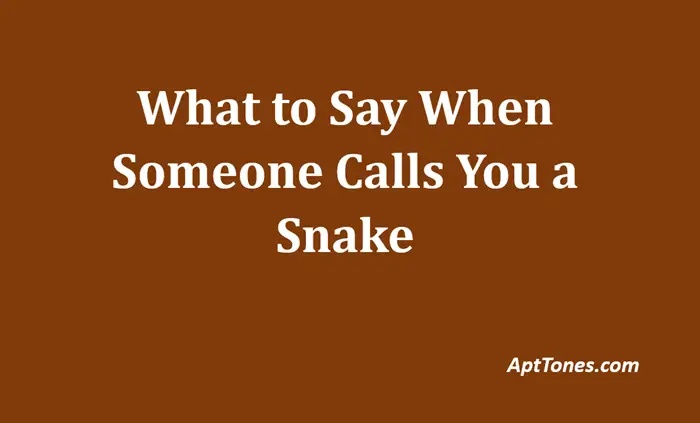 what to say when someone calls you a snake