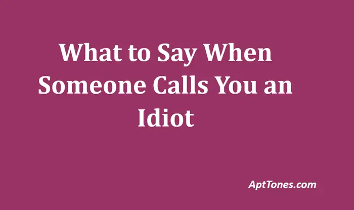 what to say when someone calls you an idiot