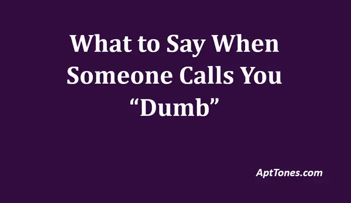what to say when someone calls you dumb