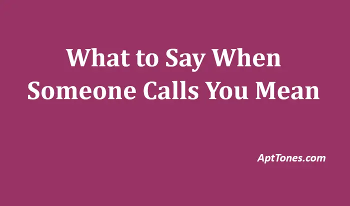 what to say when someone calls you mean
