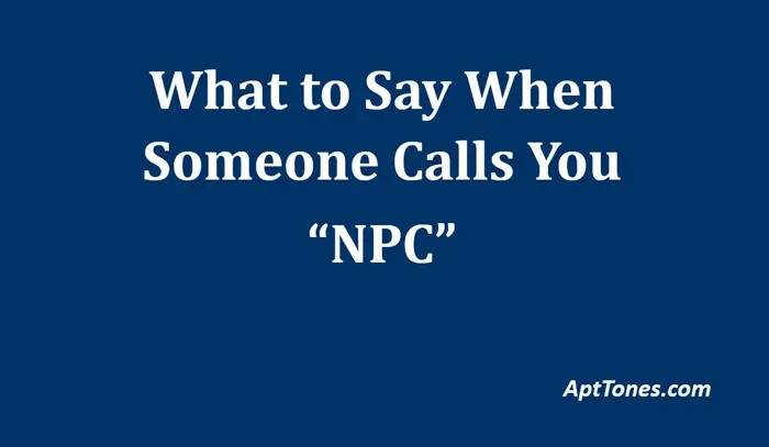 what to say when someone calls you npc