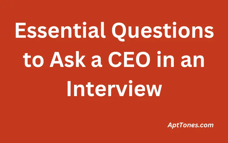 Essential Questions to Ask a CEO in an Interview