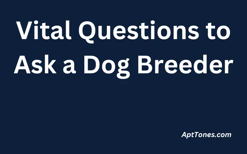 Vital Questions to Ask a Dog Breeder